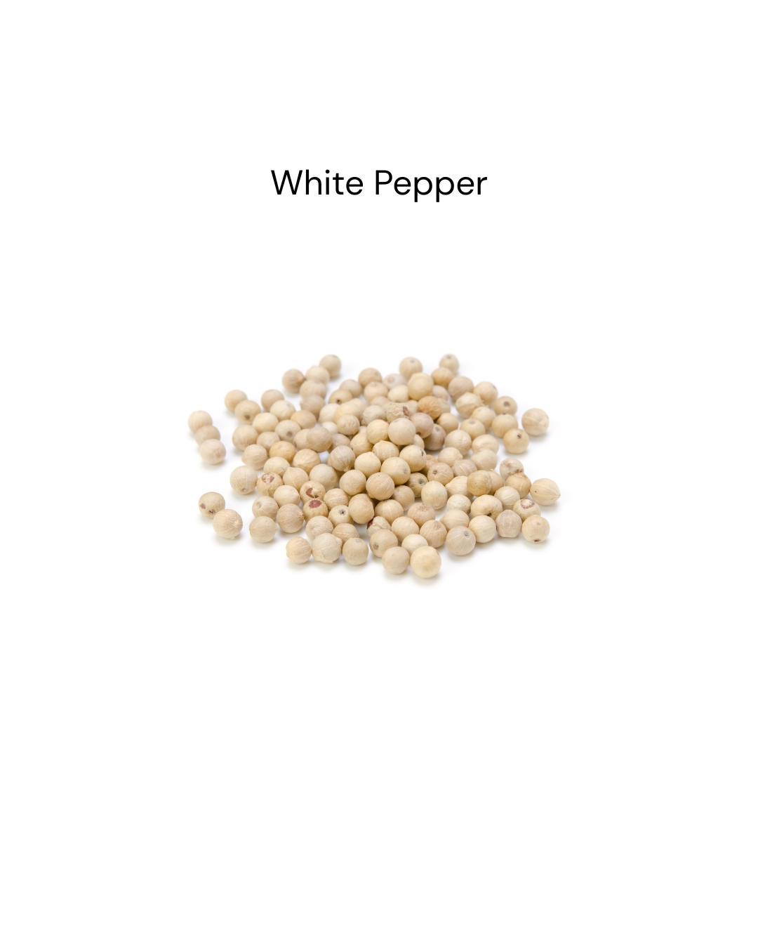 White Pepper