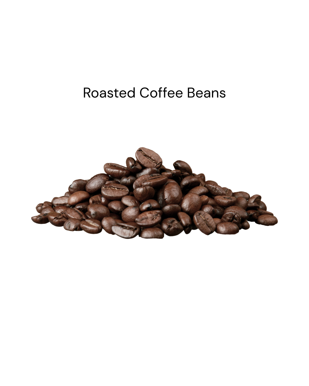 Roasted Coffee Beans