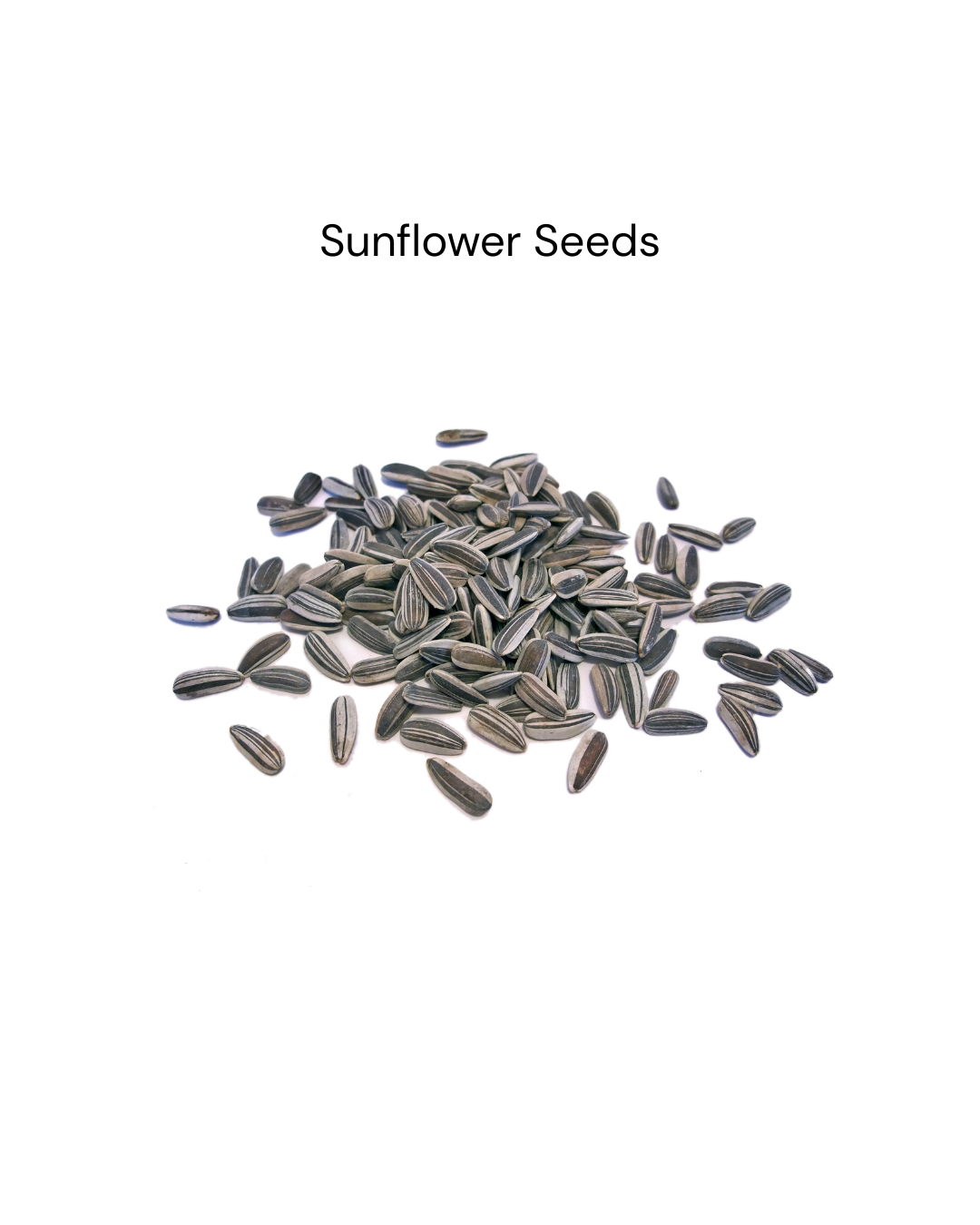Sunflower Seeds