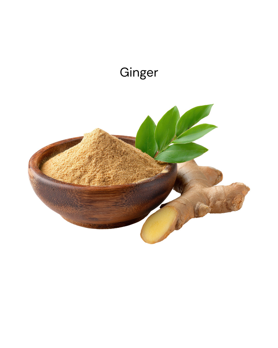 Ginger