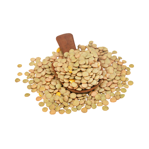 Green Lentils