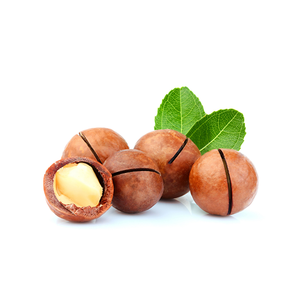 Macadamia