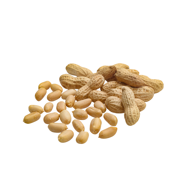 Peanuts