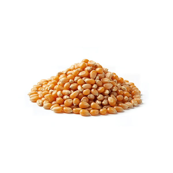 Popcorn Kernels