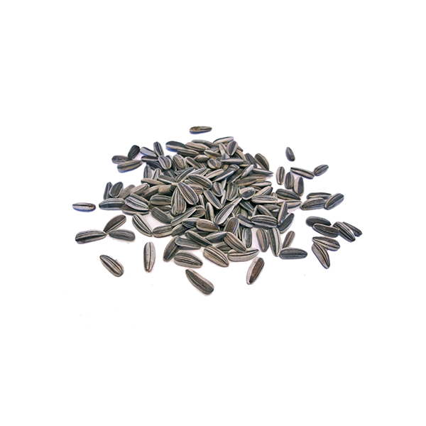 Sunflower Seeds